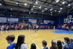 IMG-7cc1cc5e305666e8a14e15e340e81ff8-V