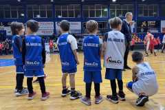 IMG-a5250b4cb6cdc6fce5ed4ccb8b2eef72-V