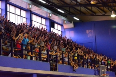 33635791_10215403923547373_2484343499302895616_n