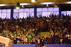 33707862_10215399972648603_7369710619152351232_n