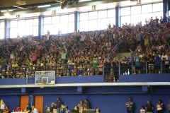 alexandros_katsis_holargos_057