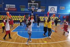 fanbasket-1