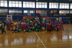fanbasket-3