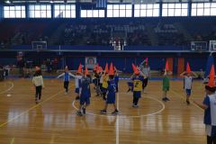 fanbasket-4
