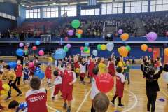 fanbasket-5